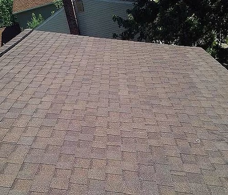 roof shingles services