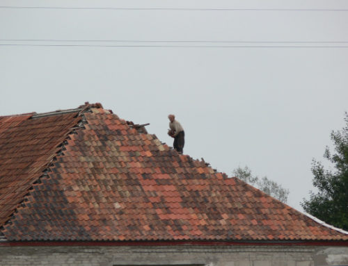Maintain Your Roof and Save Huge From Repairs and Replacements